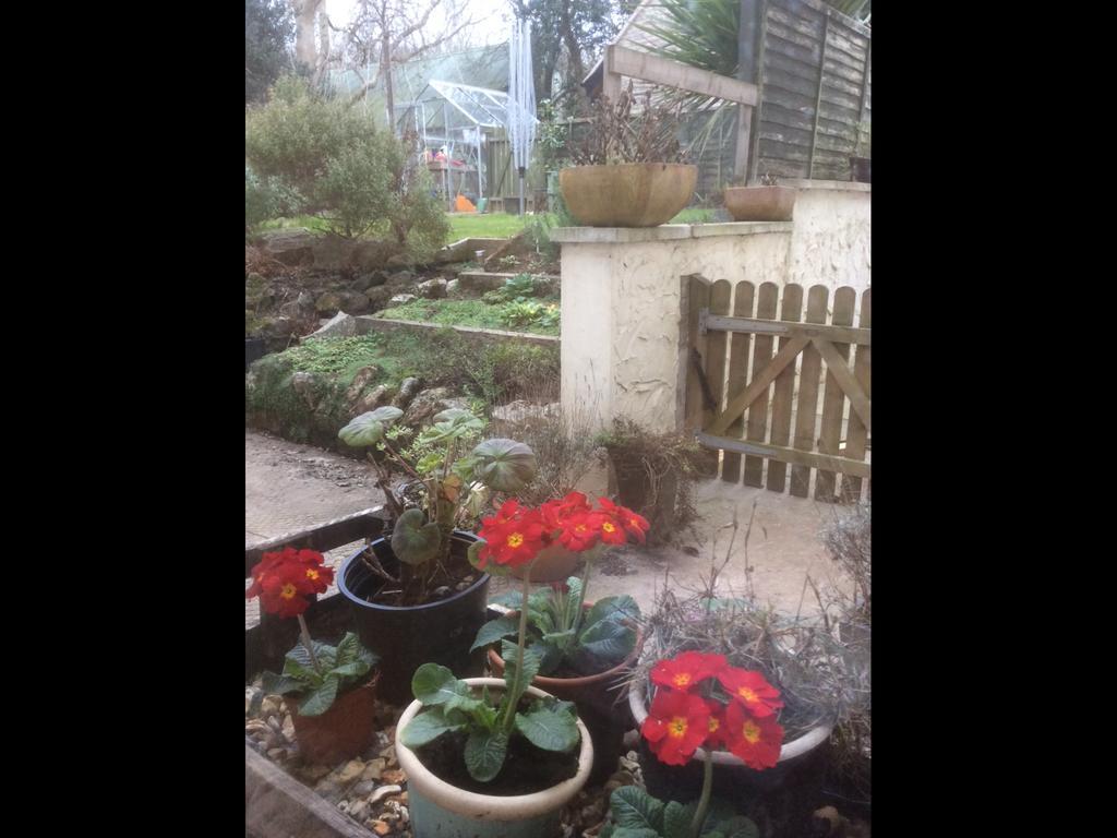 Bed and Breakfast School Farm Blagdon Exterior foto