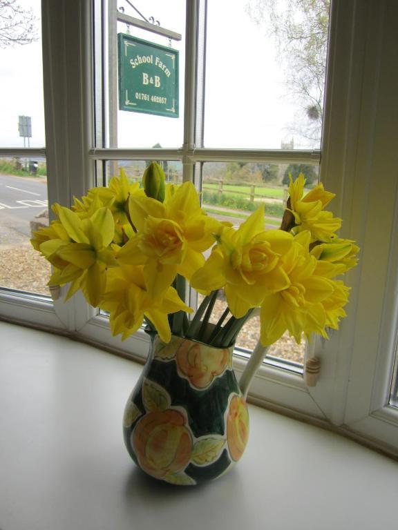 Bed and Breakfast School Farm Blagdon Exterior foto